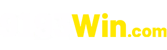 9193win logo